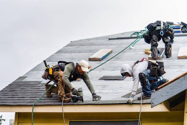 Professional Storm Damage Roof Repair technician working in Harlan, KY